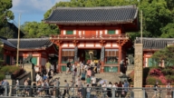 中共疑重啟赴日旅行團 多家旅行社傳已陸續出團