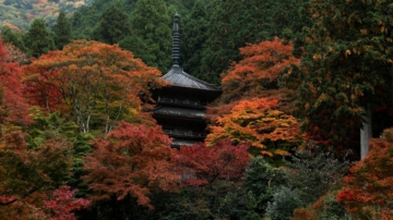 移民新方法？ 中國人湧入日本購買寺廟