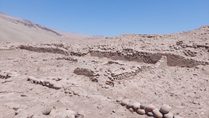 印加遺址發現保存「極好」的凍乾土豆 距今500年
