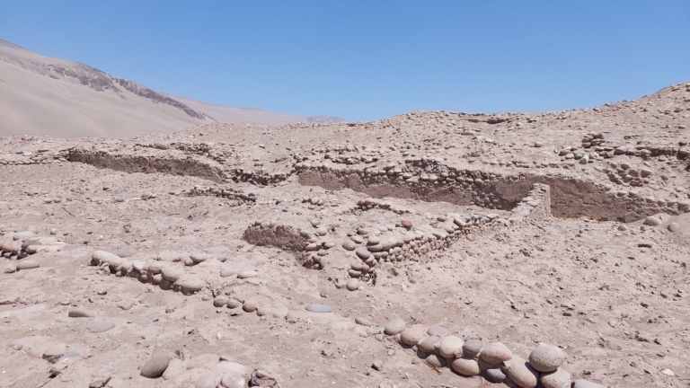 印加遺址發現保存「極好」的凍乾土豆 距今500年