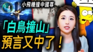 【未解之謎】「白鳥撞山」 預言又中了!