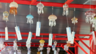 水母風鈴映夏日 京都水族館展清涼風情