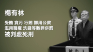 30年貪22億 南京經開區前官員楊有林獲死刑
