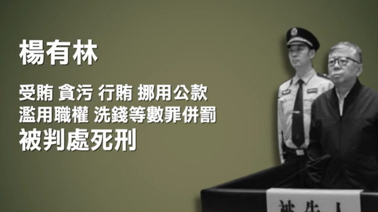 30年貪22億 南京經開區前官員楊有林獲死刑
