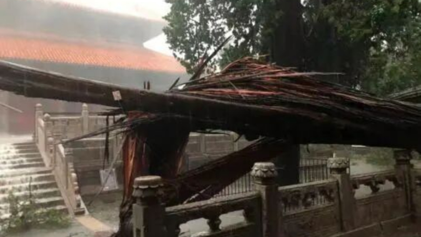 山東遭12級暴風雨襲擊 孔廟逾百年古樹被吹斷（多視頻）