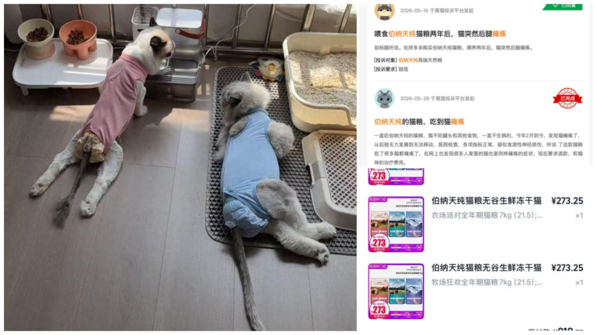 中國數千隻貓離奇癱瘓 禍首劍指國產貓糧