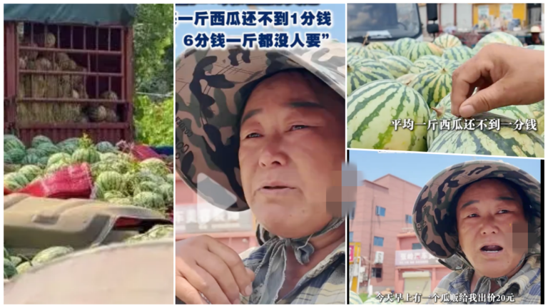 河南瓜農談西瓜滯銷：一斤不到1分錢