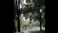 上海景區驚現40多個怪異彩色雕像 遊客直呼嚇人