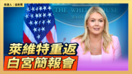 【直播】萊維特重返白宮簡報會