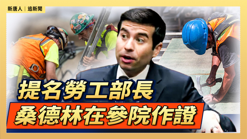【直播】提名勞工部長 桑德林在參院作證