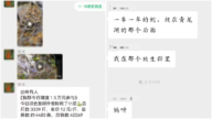 恐怖! 傳成都青龍湖被「放生」數千條毒蛇