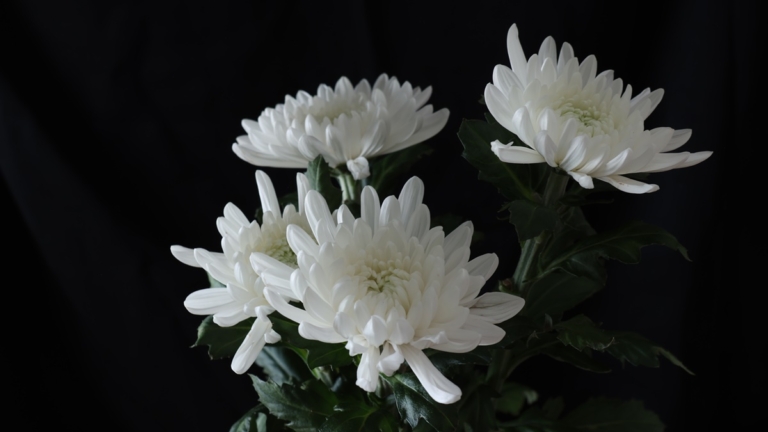 王岐山給恩師張豈之送花圈 曾傳遭軟禁