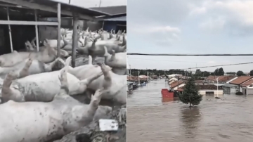 【禁闻】记者直击：吉林暴雨加泄洪 灾民损失严重
