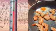 新疆高溫87℃ 博主吃無火燒烤：我都快熟了（視頻）