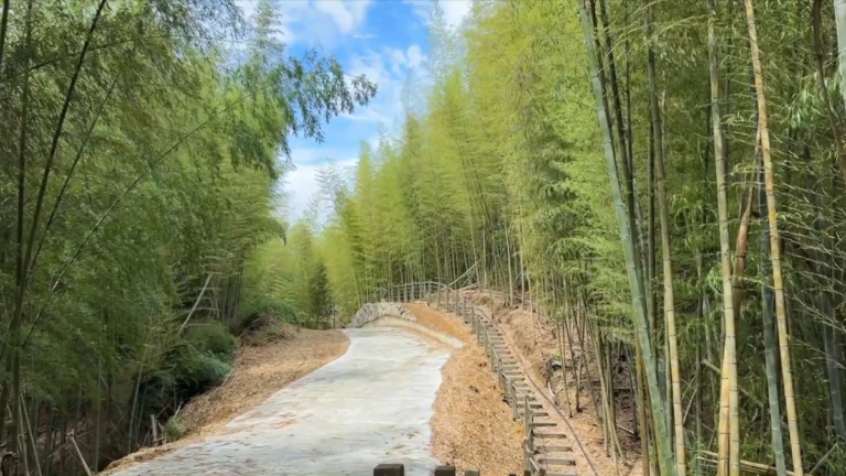 走進草嶺石壁森林療癒園區 體驗五感森心之旅