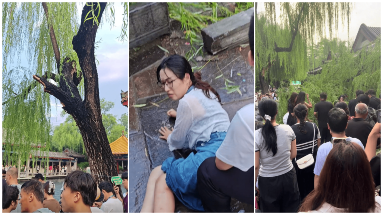 濟南趵突泉公園一棵老柳樹折斷 致16名遊客受傷