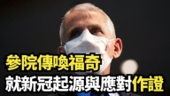 【直播】參院傳喚福奇 就新冠起源與應對作證