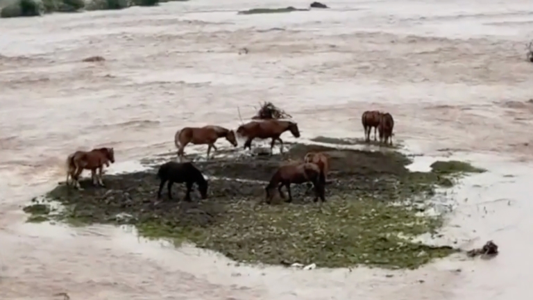 中國遭遇極端氣候 頻發洪水、冰雹和乾旱