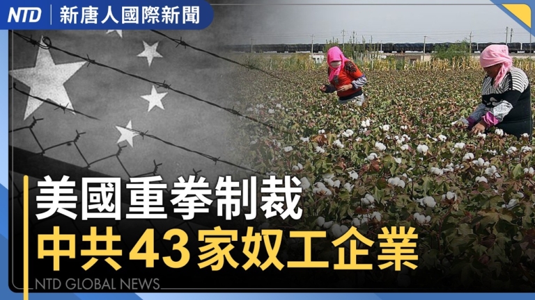 【國際新聞】歷來最多！美重拳制裁43家中共奴工企業