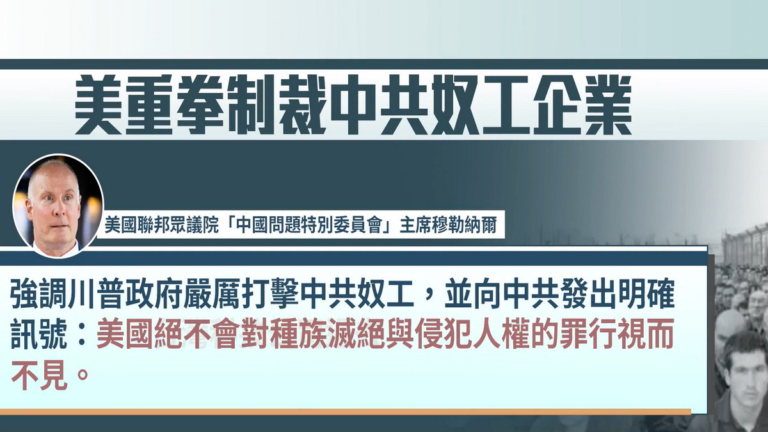 歷來最多！美重拳制裁43家中共奴工企業