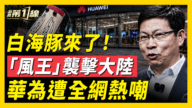 【新聞第一線】白海豚來了 「風王」襲擊大陸 華為遭全網熱嘲