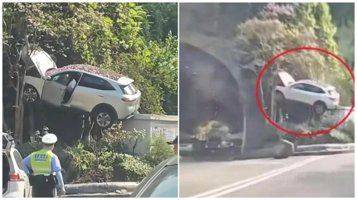 重慶一車輛「飛」上樹 監控拍下驚險瞬間