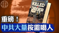 【百年真相】一本畅销书背后骇人听闻的真相