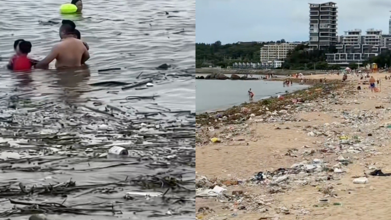 廣東海灘遍地垃圾 遊客在垃圾中游泳(視頻)