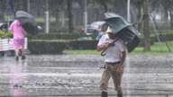 白海豚襲擊中國多省 上班族：牛馬依然上班