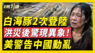 【一線看中國】白海豚2次登陸 洪災後驚現異象