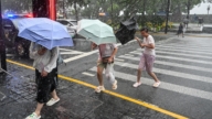 白海豚颱風挾豪雨襲湖北 上海2人家中觸電亡
