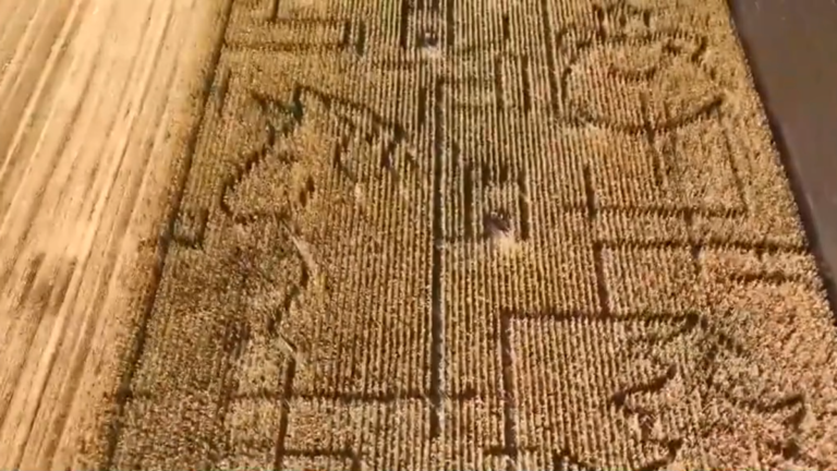 匈牙利玉米地迷宮 迷失才是最有趣的地方
