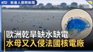 【国际新闻】欧洲热浪袭击造成数千人死亡