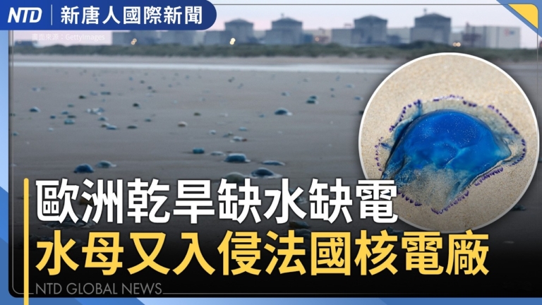 【國際新聞】歐洲熱浪襲擊造成數千人死亡