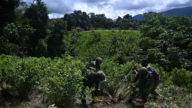 哥倫比亞邀美軍出手 聯合打擊販毒集團