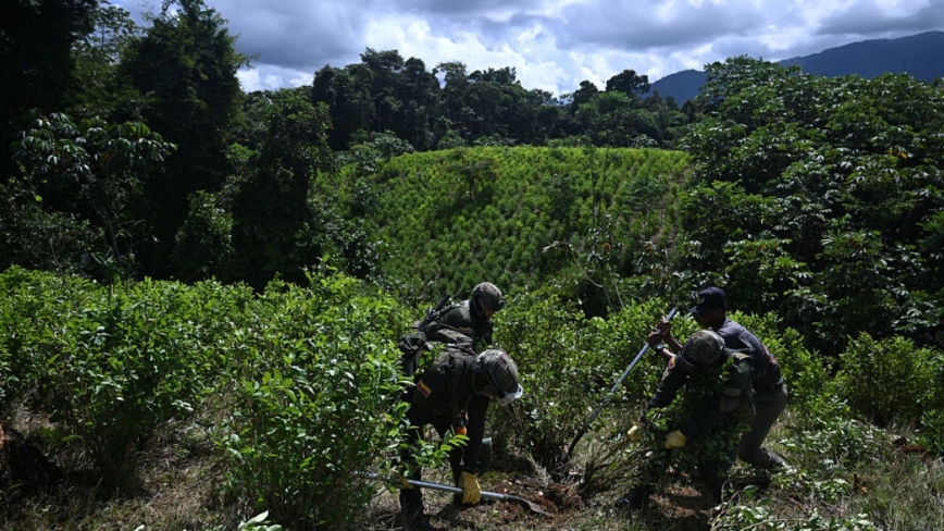 哥倫比亞邀美軍出手 聯合打擊販毒集團