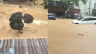 浙江湖州山體滑坡 泥水沖入房屋 驚悚畫面曝光(多視頻)