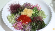 “擅长包紫菜饭”俄网站刊朝鲜女工中介广告