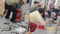 南京地鐵動物「大逃亡」 乘客嚇到尖叫（視頻）