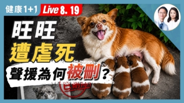 【健康1+1】旺旺遭虐死 聲援為何被刪？