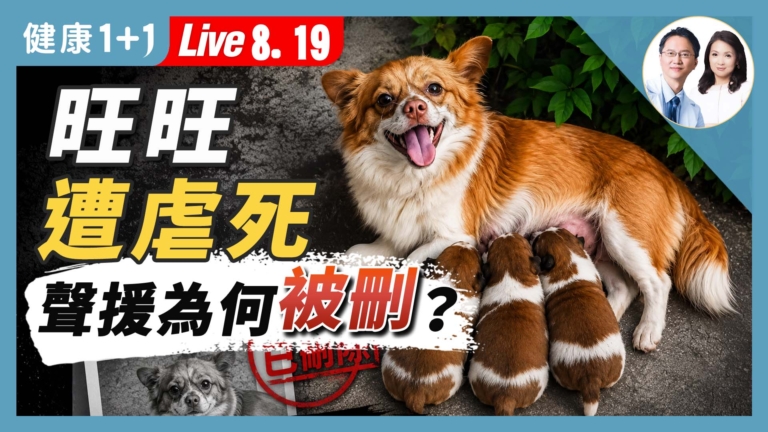 【健康1+1】旺旺遭虐死 聲援為何被刪？