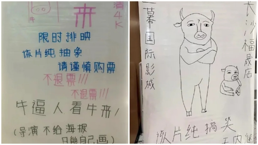 爛片《牛來》掀熱潮 票房一度超過周星馳《女足》