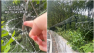 動物陷阱?泰山後秦嶺也爆出刀片鐵絲網圍山(視頻)