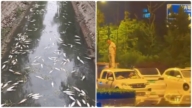 暴雨加水庫洩洪 河南周口等多地再度淹水