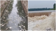 暴雨加水库泄洪 河南周口等多地再度淹水