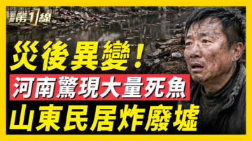 【一线看中国】广西再有暴雨 河南灾后河面漂浮大量死鱼