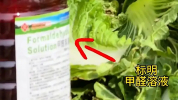 毒保鮮潛規則！中國業者爆最常泡甲醛8種食物（視頻）