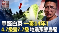 【中国禁闻】8月24日完整版