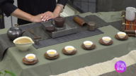 【生活广角镜】茶艺泡茶 —— 茶艺师沈曼江示范
