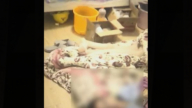 租約到期屋主回家一看崩潰 驚見滿地都是人
